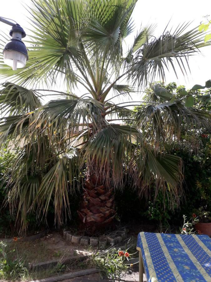 Rez De Chaussee Studio Climatise Dans Villa Aigues-Mortes Buitenkant foto